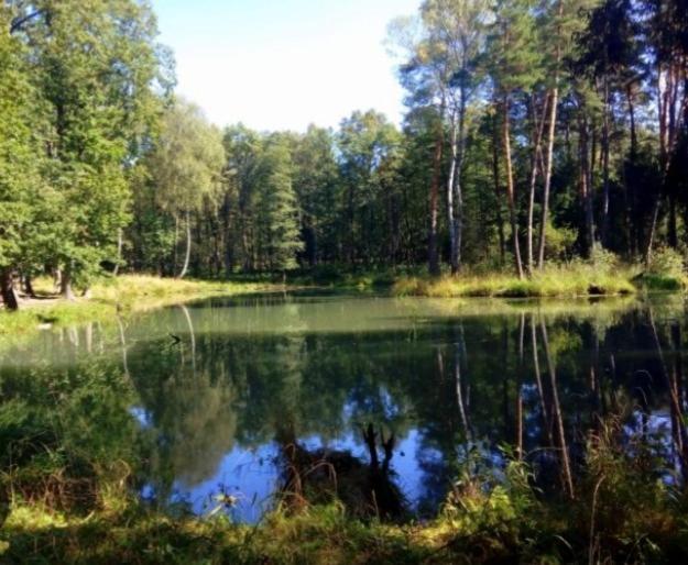 Apartament Pod Lasem Tenczynek Buitenkant foto